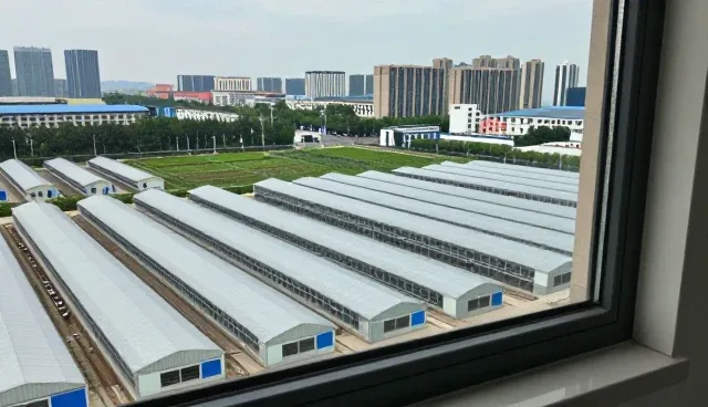 技术咨询在业务发展中的趋势与实践